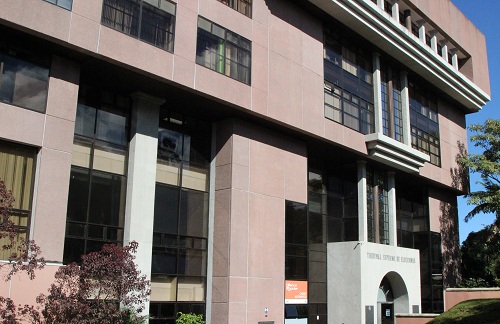 TSE rechaza amparo electoral por visita de Presidente salvadoreño 