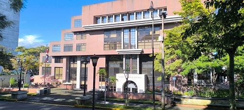 TSE recuerda prohibición de realizar eventos masivos el sábado 31 de enero y domingo 1° de febrero  